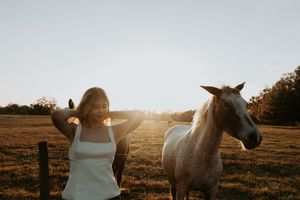 White horse in profile against a sunset sky in a pastoral field setting.
