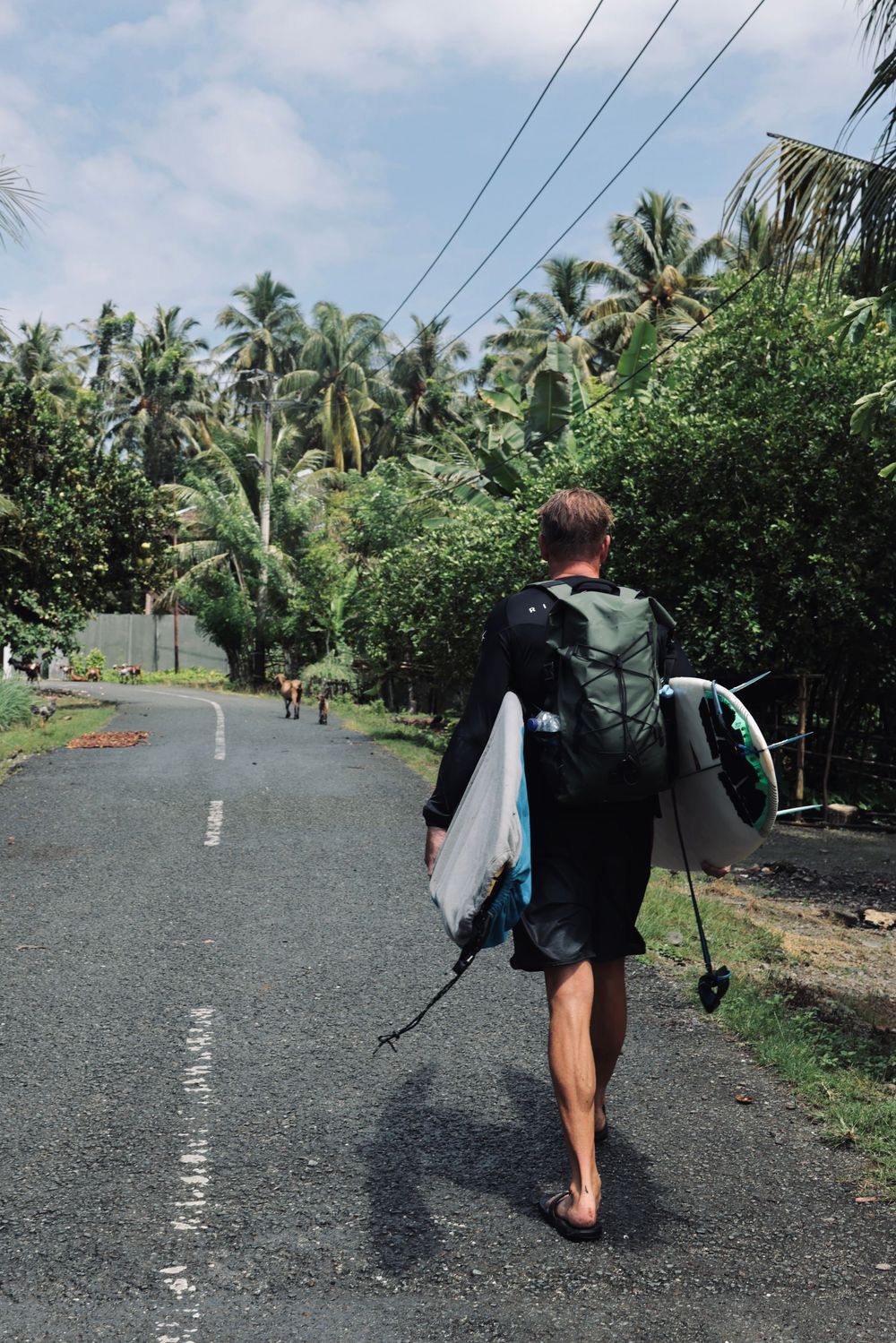 Person walking down a palm-lined road carrying a surfboard in a tropical setting.