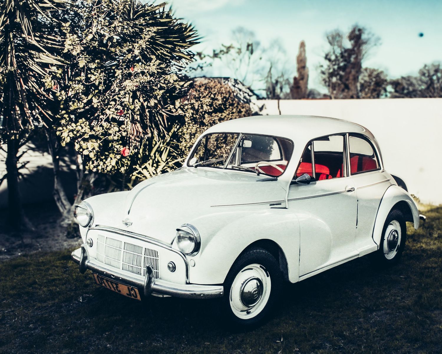 Car
Morris Minor
Rental Car
Red interior
Classic Car
Matric Ball Car