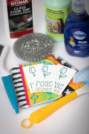 Cleaning supplies including Weiman cleaner, Dawn dish soap, and colorful scrubbing tools arranged on a white surface.