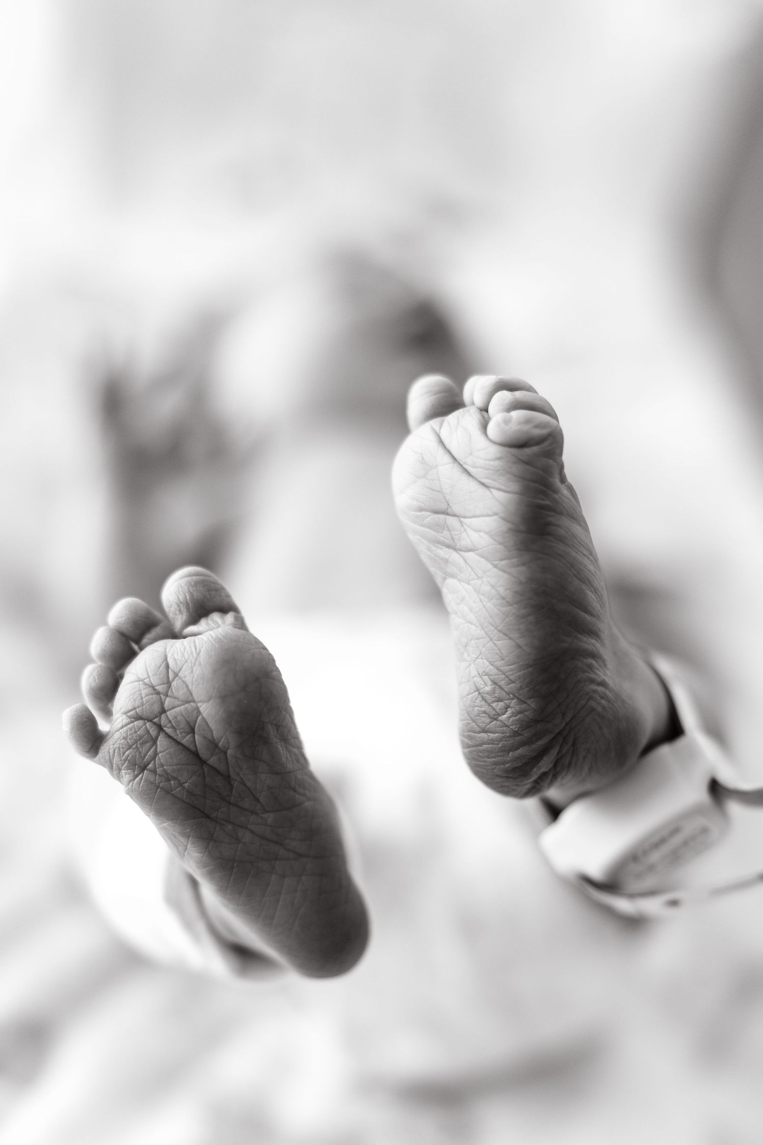 Black and white photograph of a baby's tiny clenched fists arranged in a horizontal sequence.
