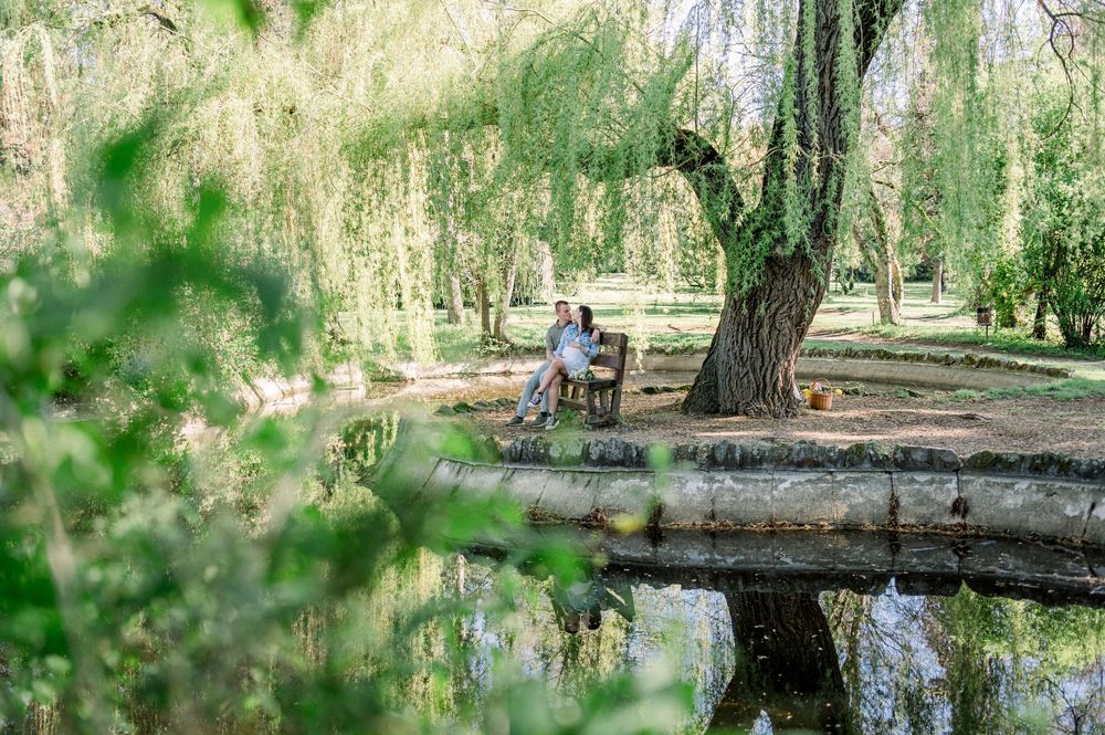 Scenic park landscape with weeping willow trees and reflective pond.