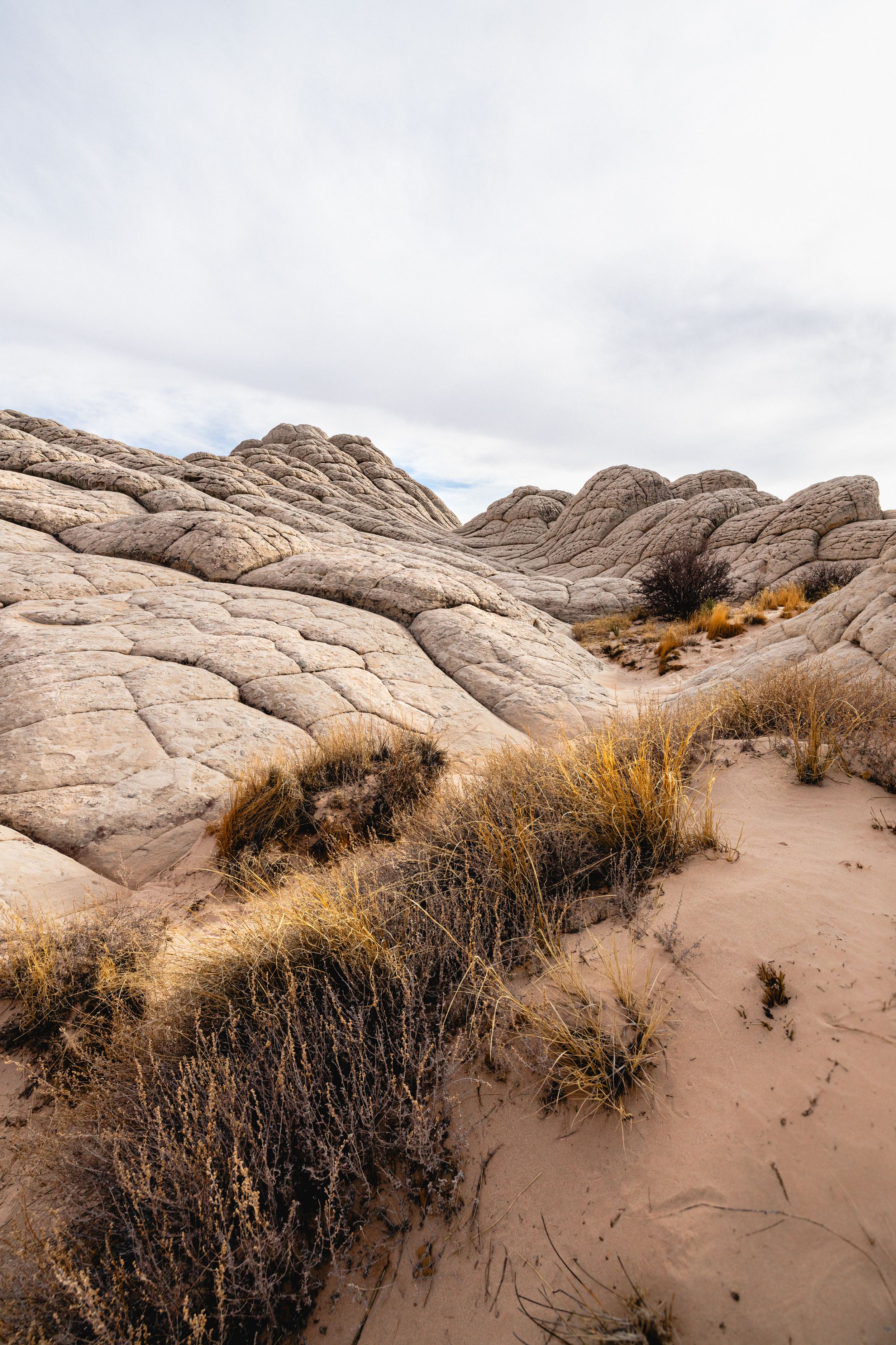 Desert landscape with wavy sandstone formations and dry brush vegetation against cloudy sky.