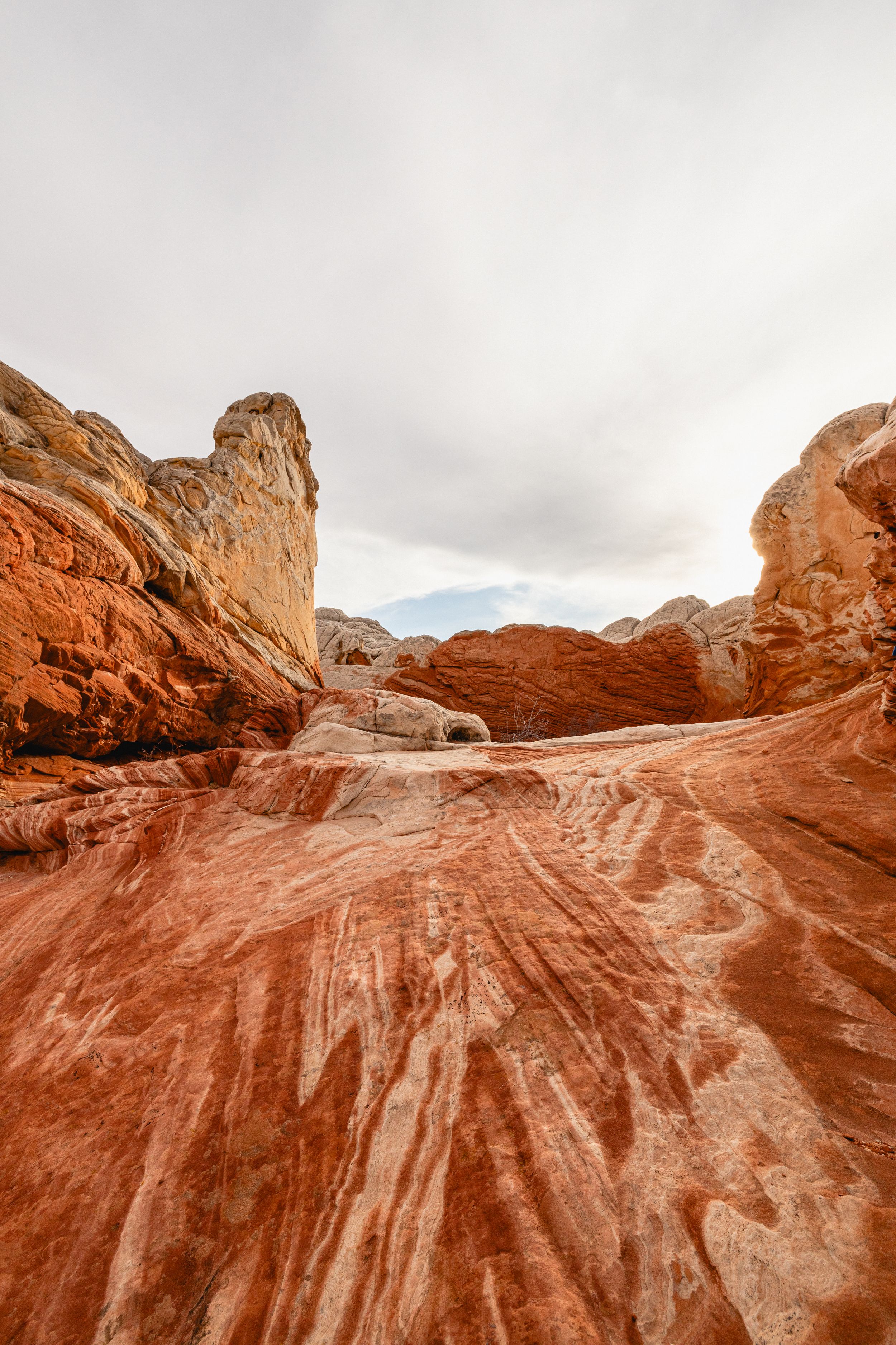 Panoramic view of red sandstone formations in Valley of Fire State Park with dramatic rock textures and desert landscape.