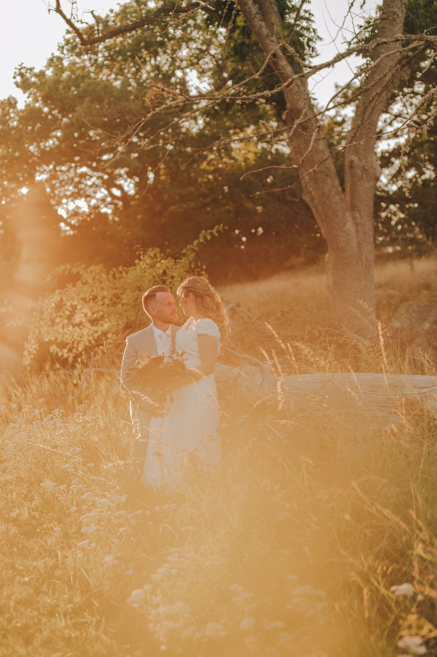 Two people embrace in a golden sunlit field at sunset with tall grass and trees in the background.