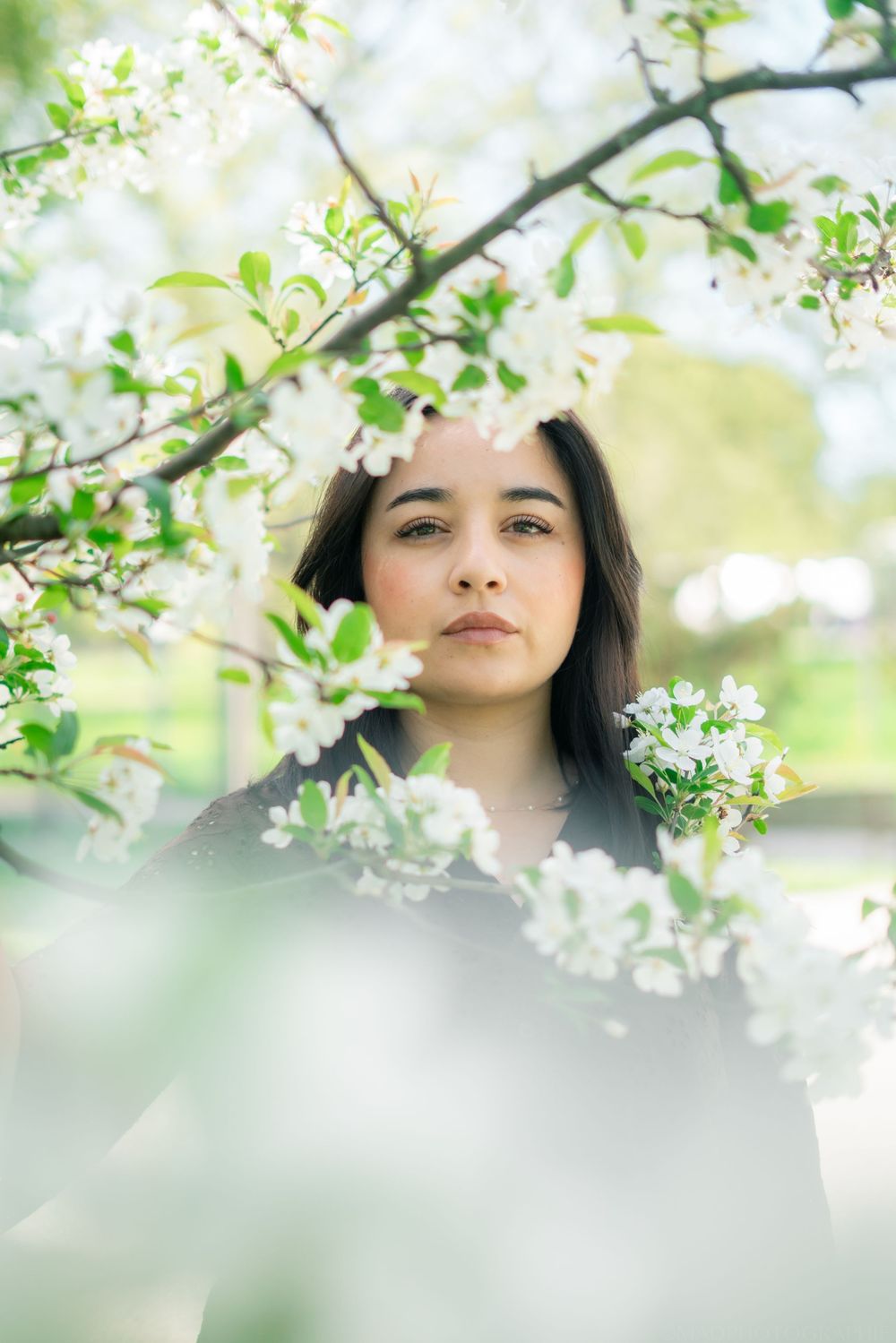 Portrait féminin avec fleurs de cerisier