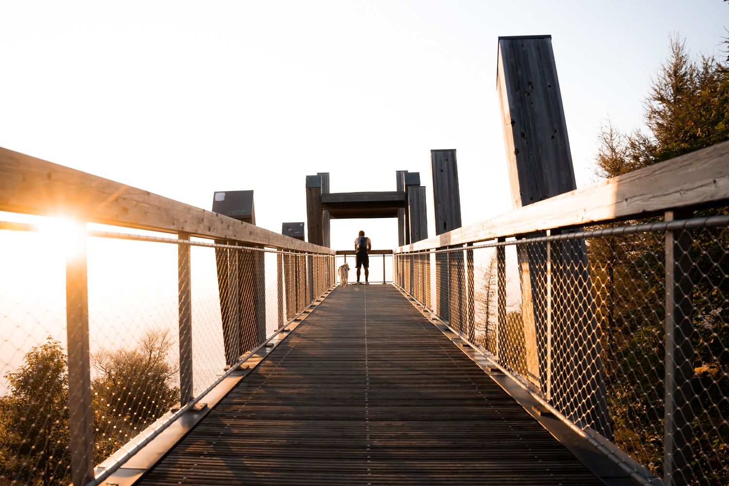 Un promeneur et son son chien au bout de la passerelle du mont-revard au coucher du soleil