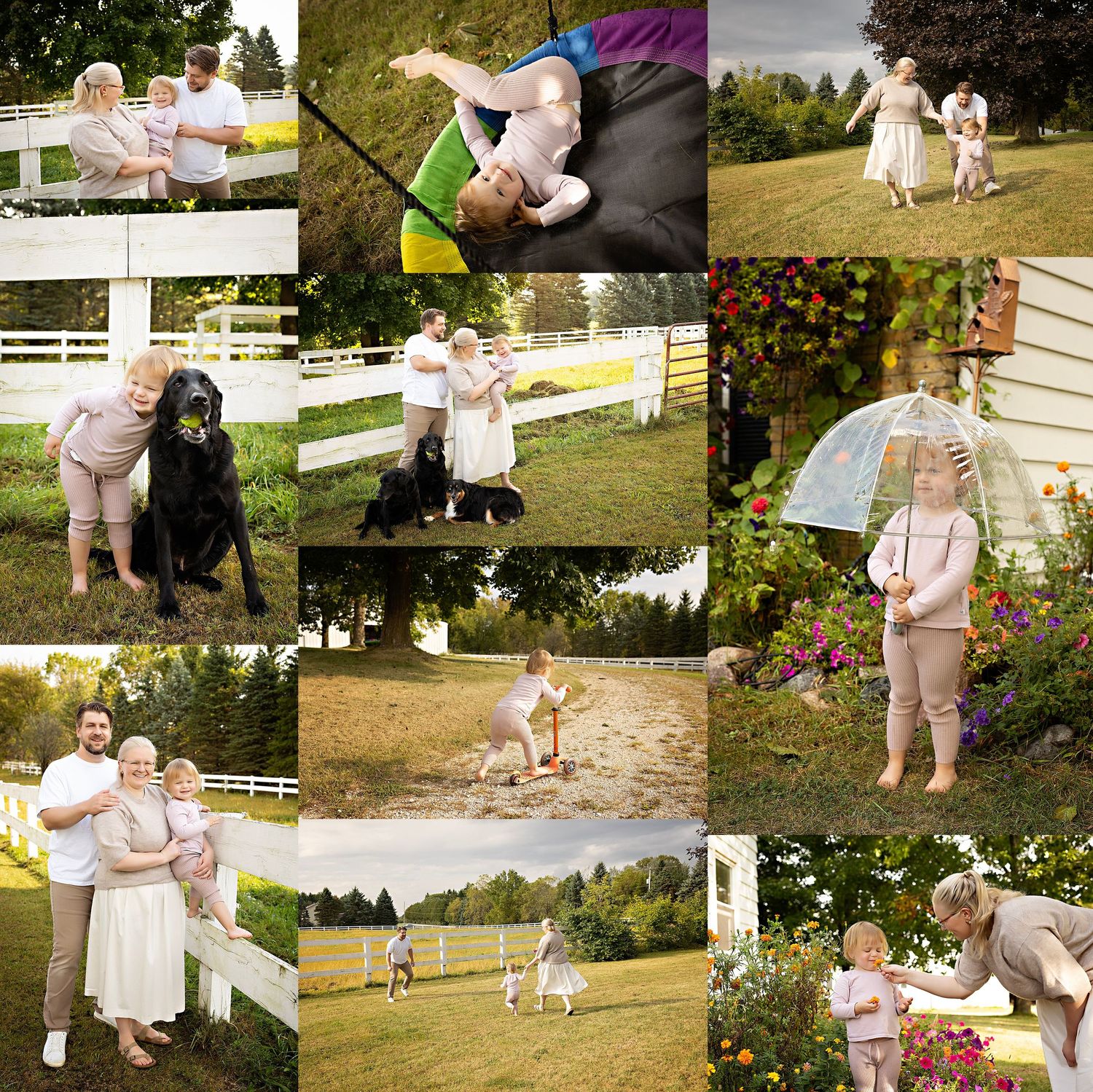 Family playing with their dogs in the backyard during an at-home photo session in Hartland, Wisconsin. Lifestyle photographer Kendall Kuss