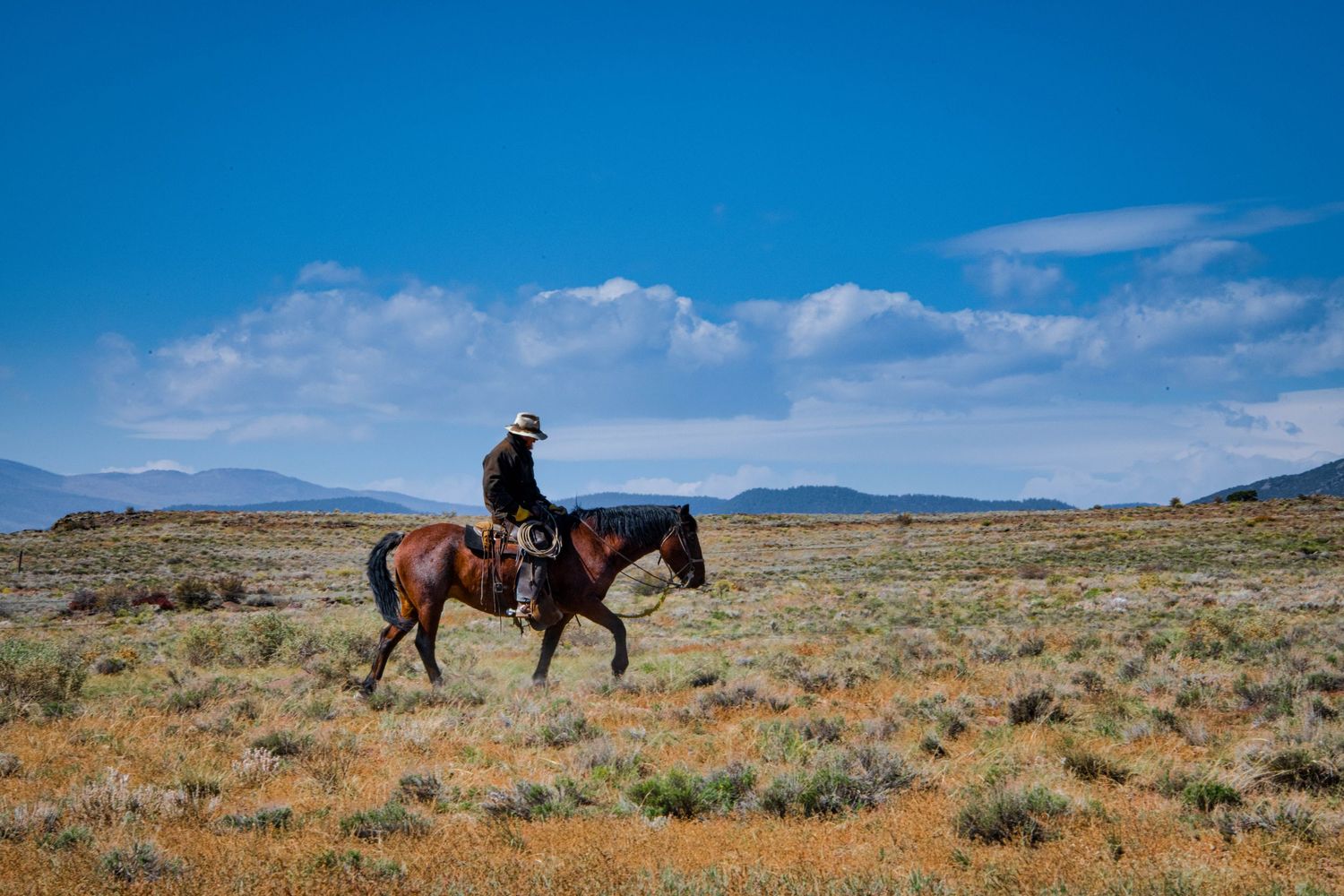 Riders on horseback traverse a scenic desert landscape under bright blue skies with mountains in the distance.