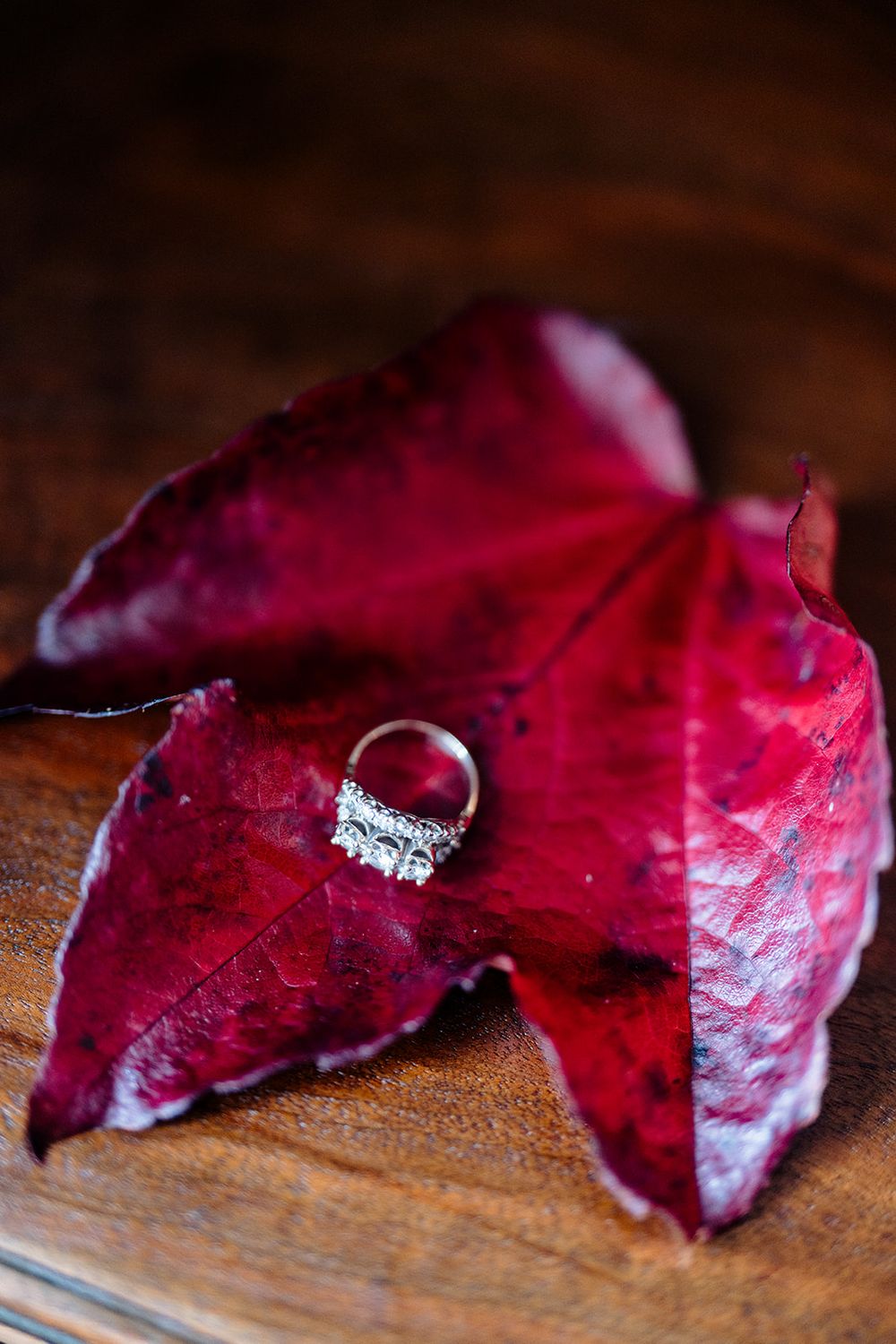 Diamond engagement ring sparkling against deep red autumn leaves on wooden surface.