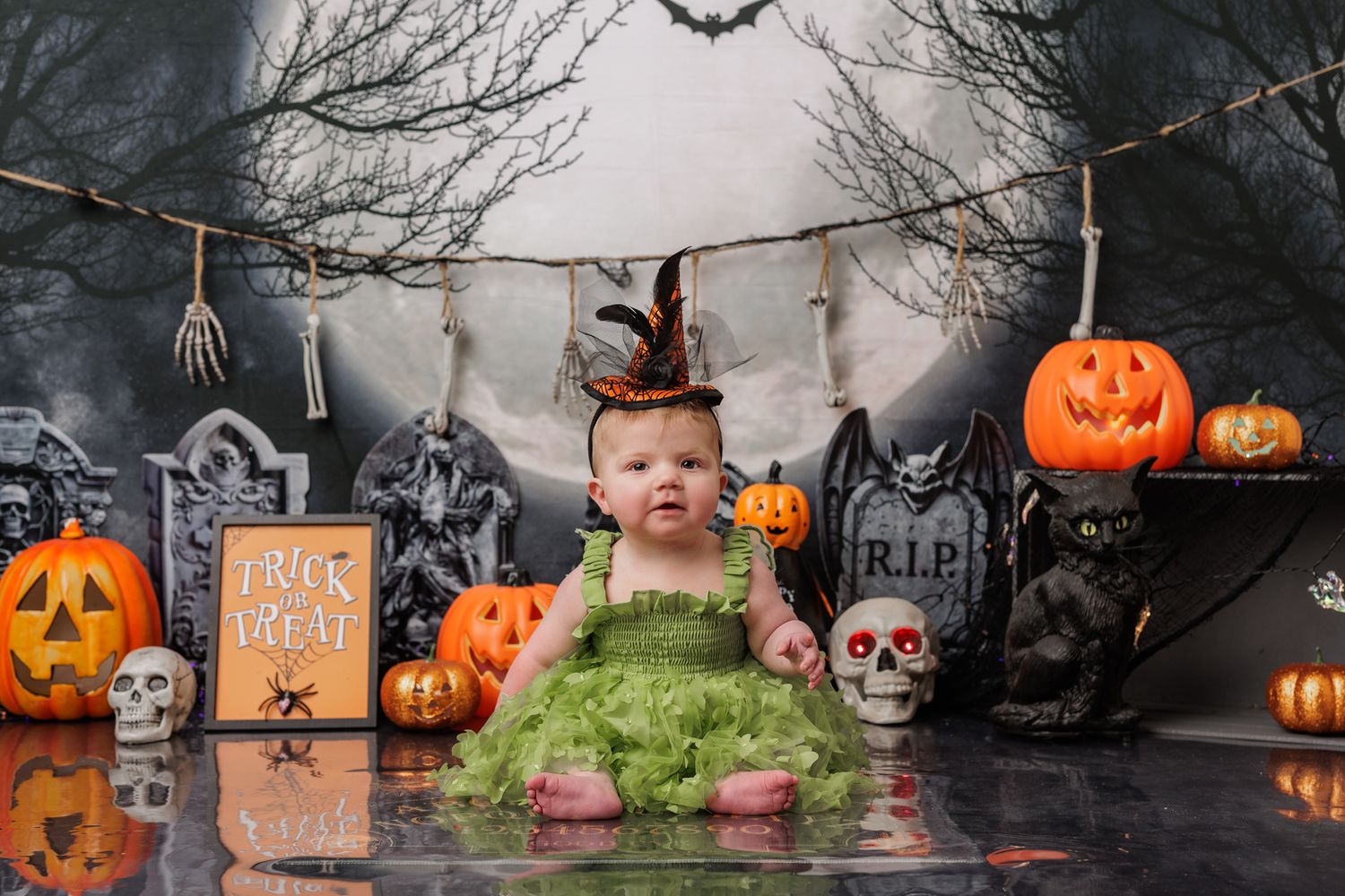 Halloween Photos in Wellington and Porirua