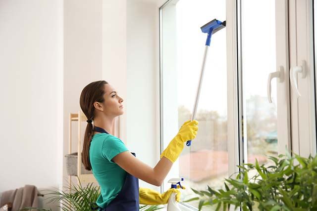 Window Cleaning Services