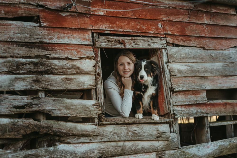 A person and their dog peek through a window frame of a weathered wooden barn.