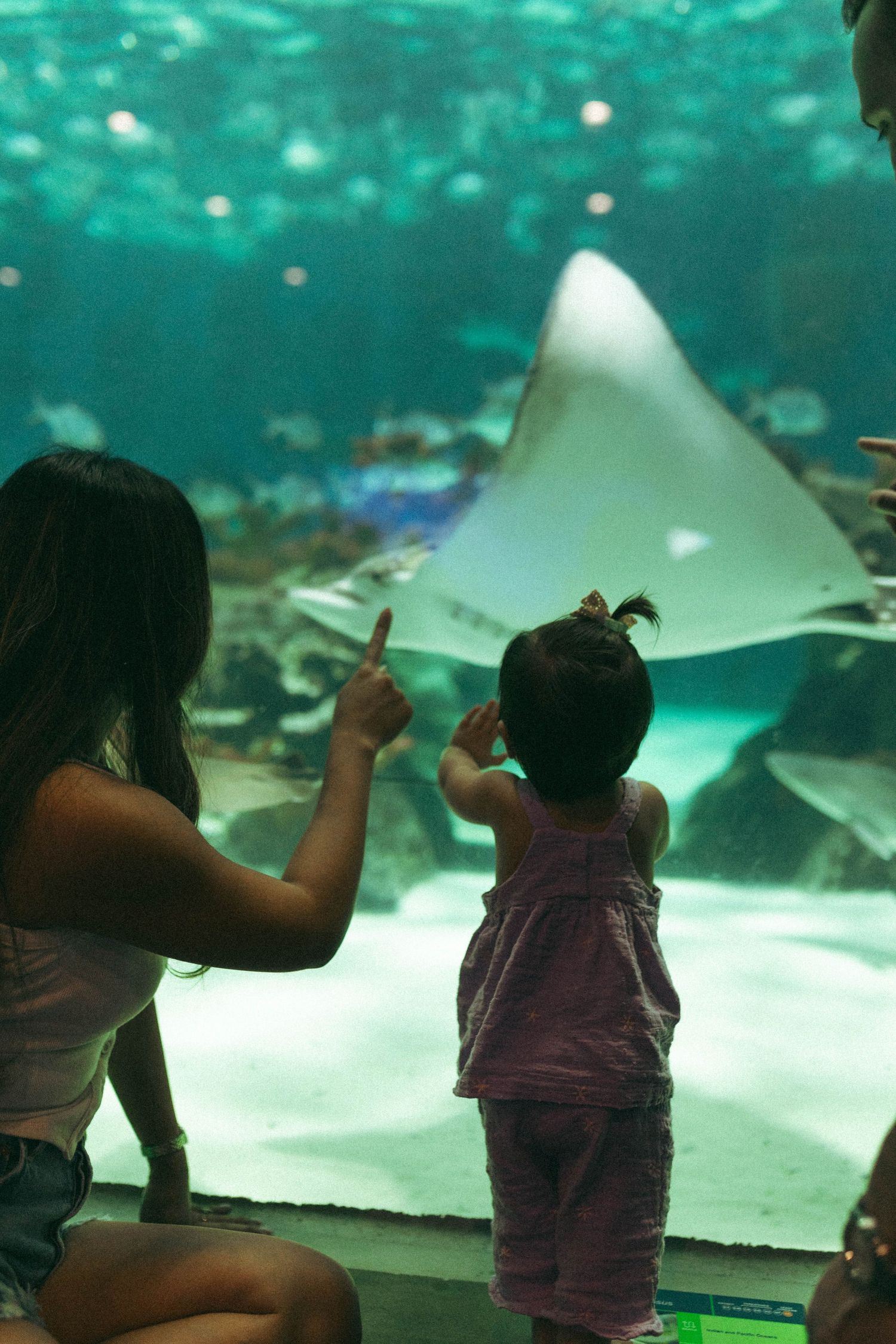 aquariam fun