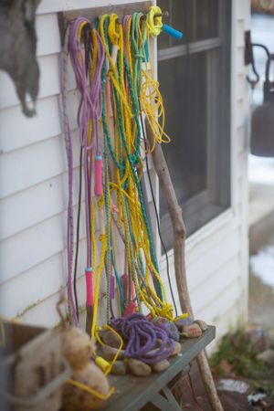 Colorful yarn strands hang decoratively from branches against a white exterior wall.