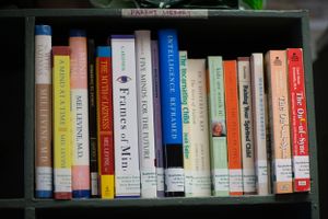 A row of colorful book spines arranged neatly on a wooden bookshelf.