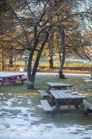 Snow-covered picnic tables under bare trees in a winter park setting.