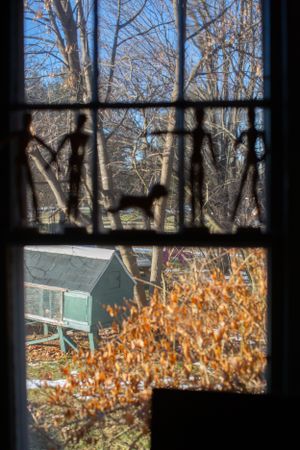 View through a window showing bare winter trees and a small green shed below.