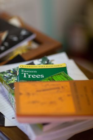 Field guides and nature books including 'Eastern Trees' lying on a table.
