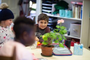 Students working on activities in a bright classroom with plants and educational materials.