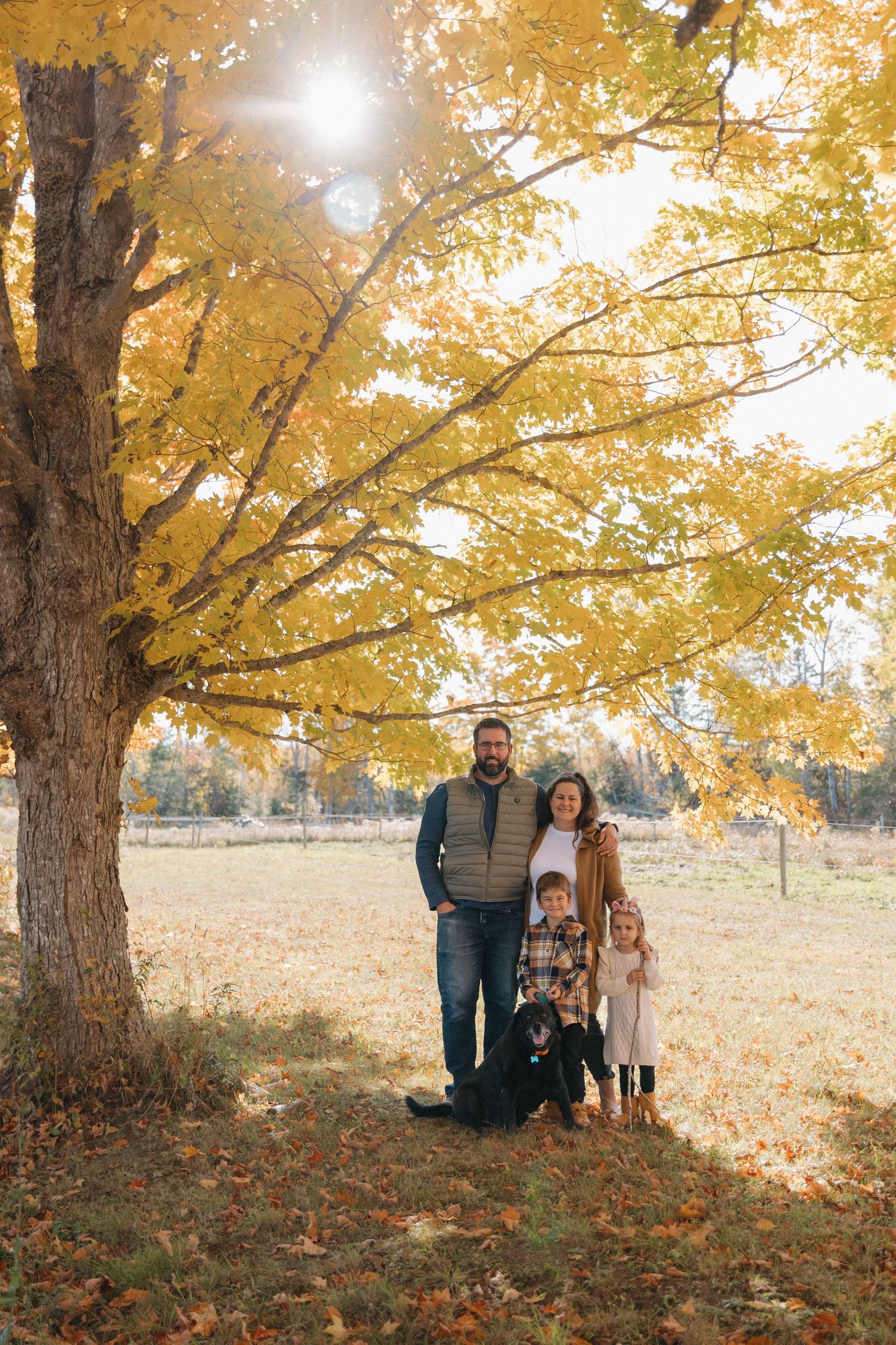 A family stands together under a golden autumn tree with sunlight streaming through the yellow leaves.
