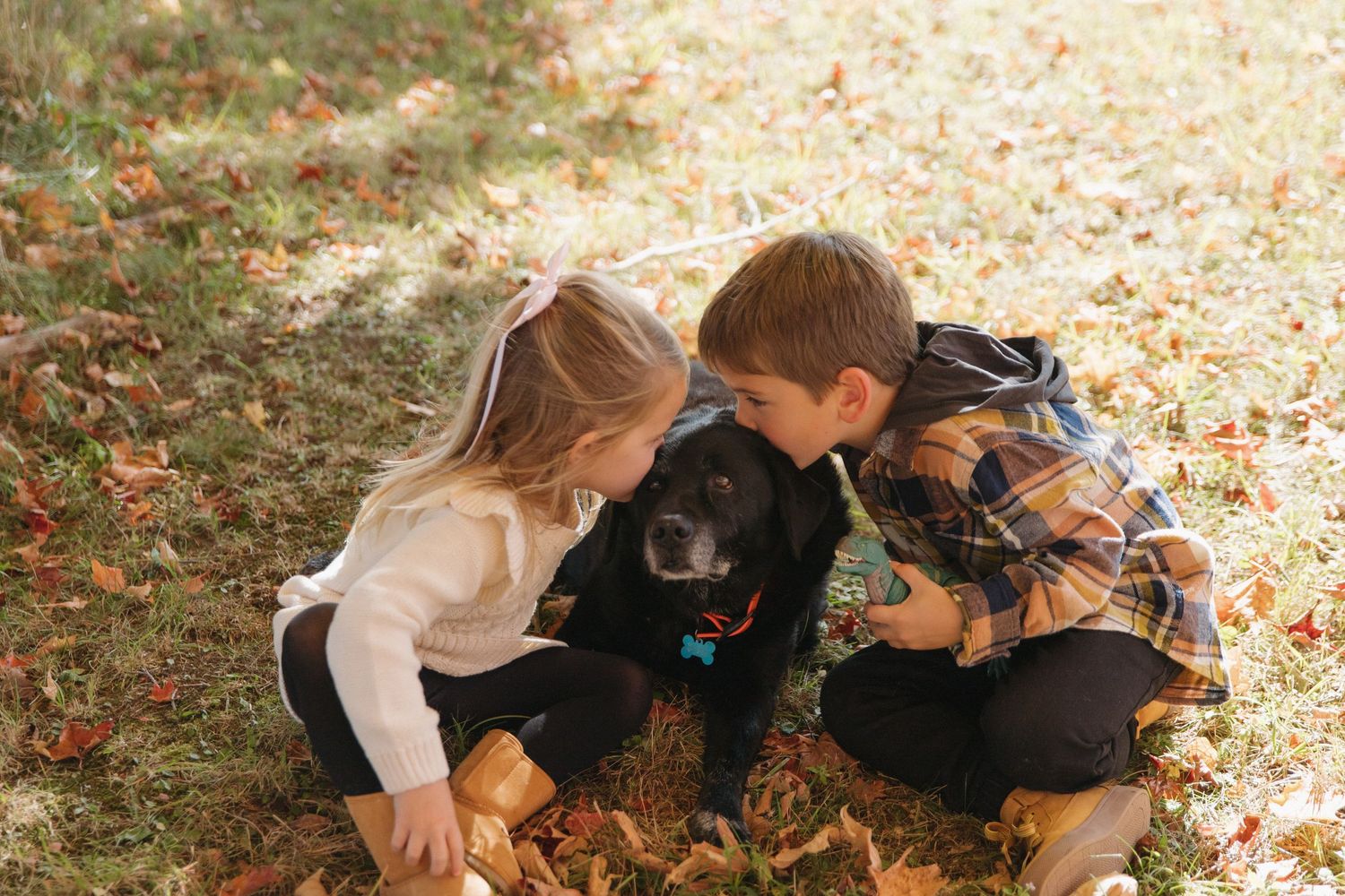 Two children crouching together outdoors in fallen autumn leaves on a sunny day.