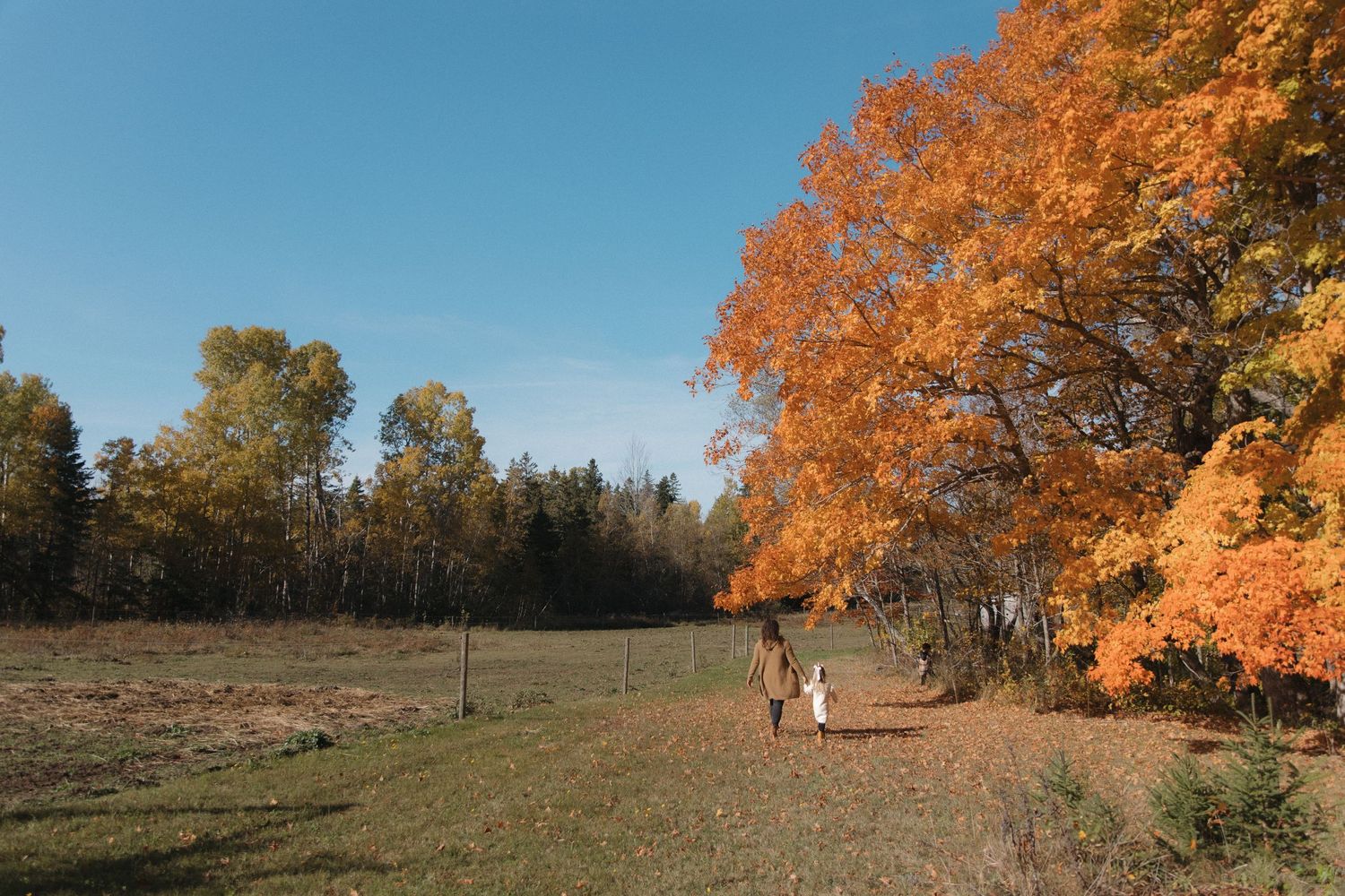 Two figures walking down a dirt path on an autumn afternoon with vibrant orange foliage and blue skies.