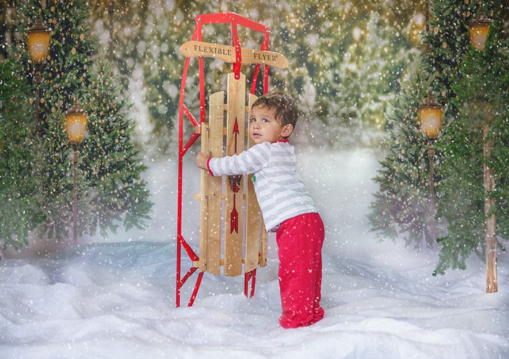 Christmas holiday mini session photo sample of a young boy holding a sled upright with snow and trees behind him