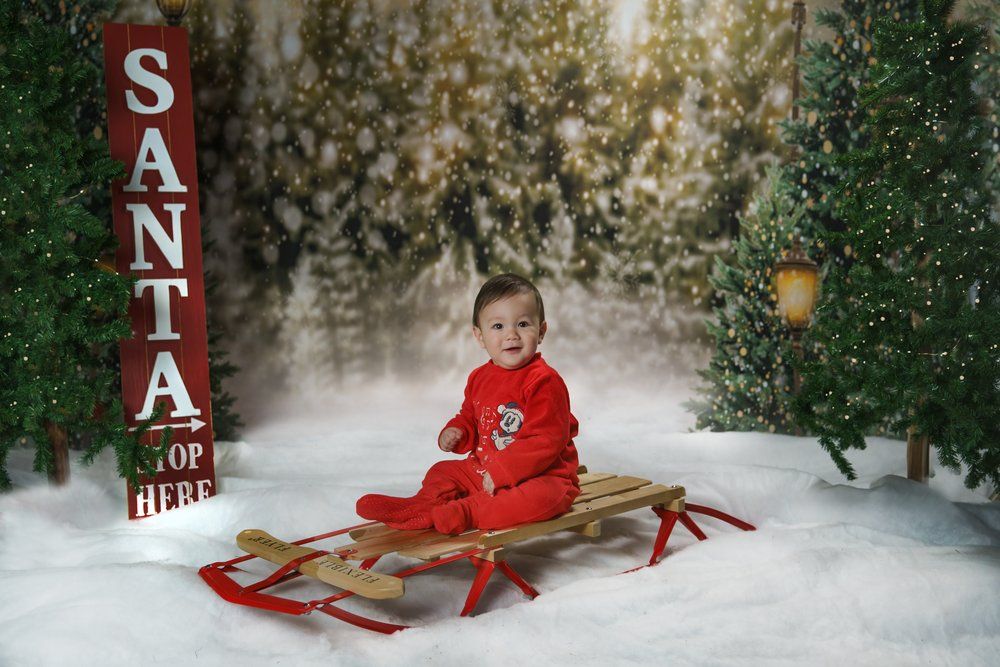 Winter themed mini session photo sample of a toddler aged boy sitting on a sled on snowy, tree lined background