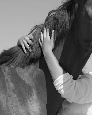 equestrian portraiture