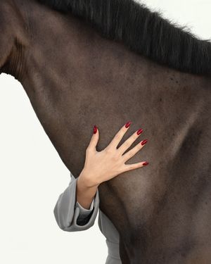 equestrian portraiture
