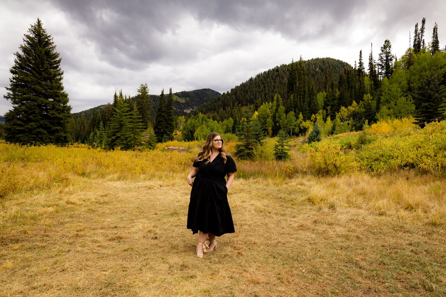 Mountain landscape with evergreen trees and dramatic cloudy sky.