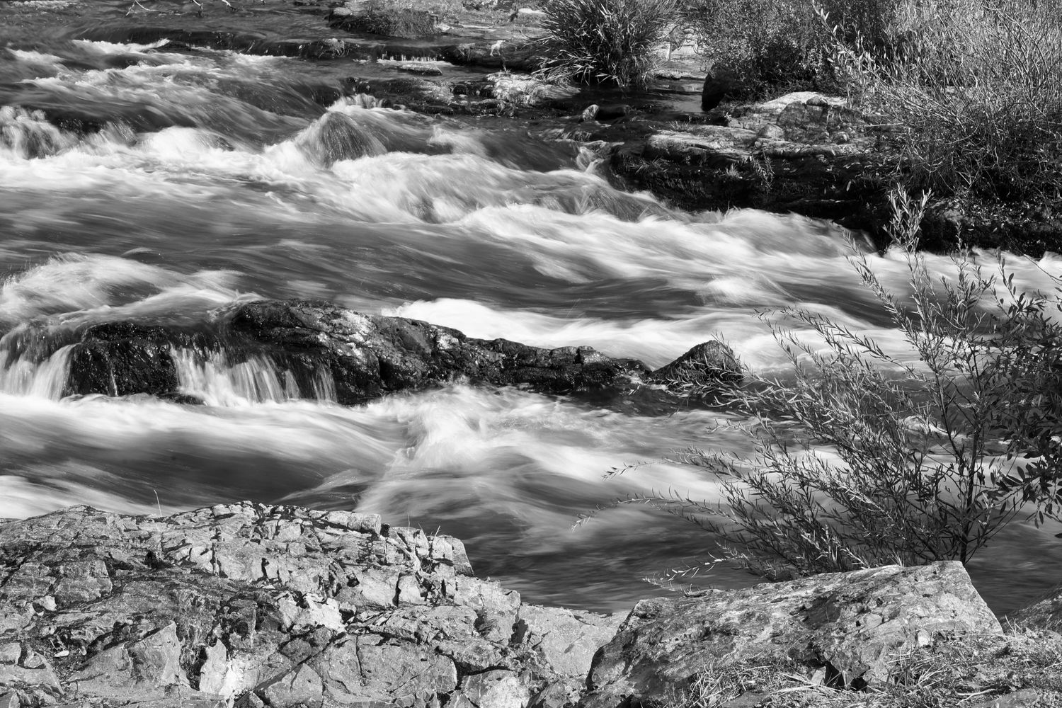 Rogue River in Gold Hill Oregon