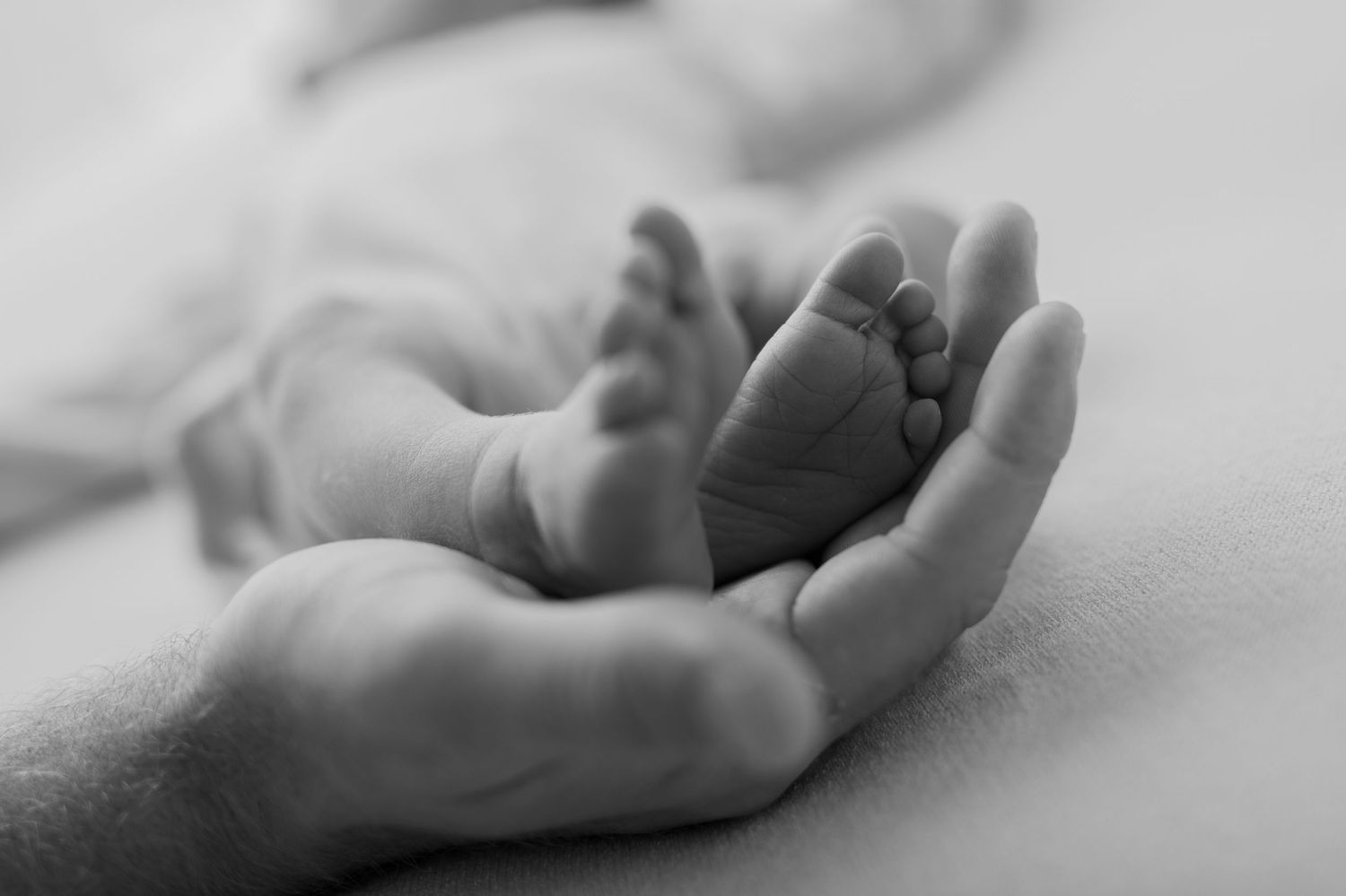 Close-up black and white photo of hands gently holding a small object with delicate care.