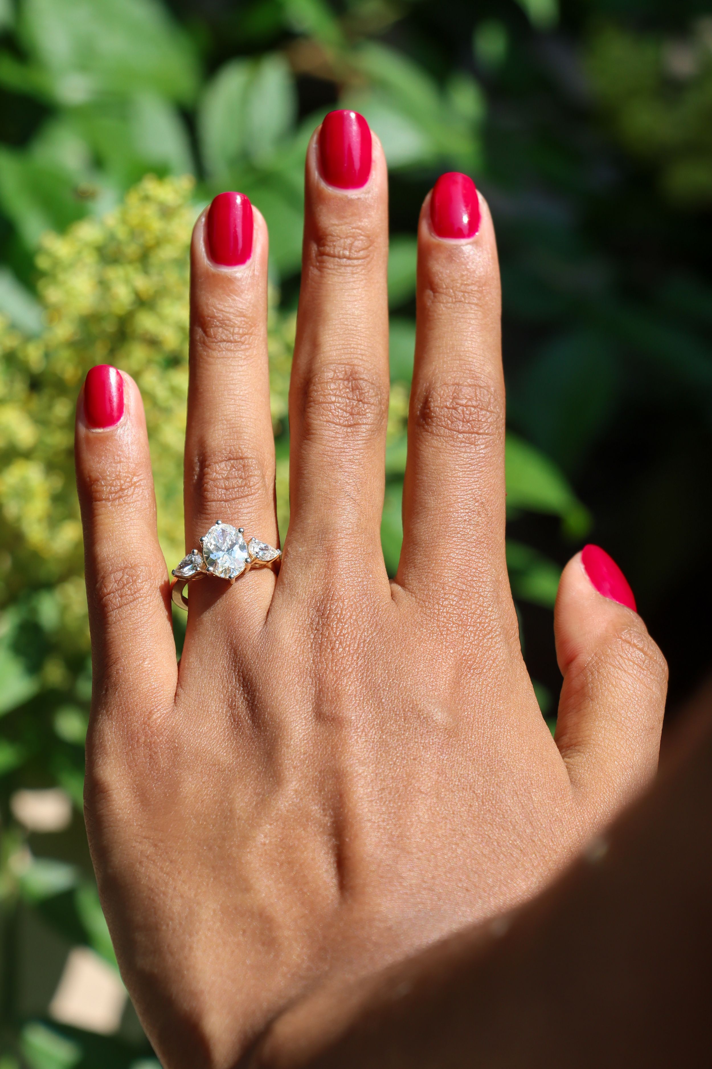 Cincinnati proposal photographer captures a romantic zoo proposal and surprise engagement moment, creating timeless engagement photos for co