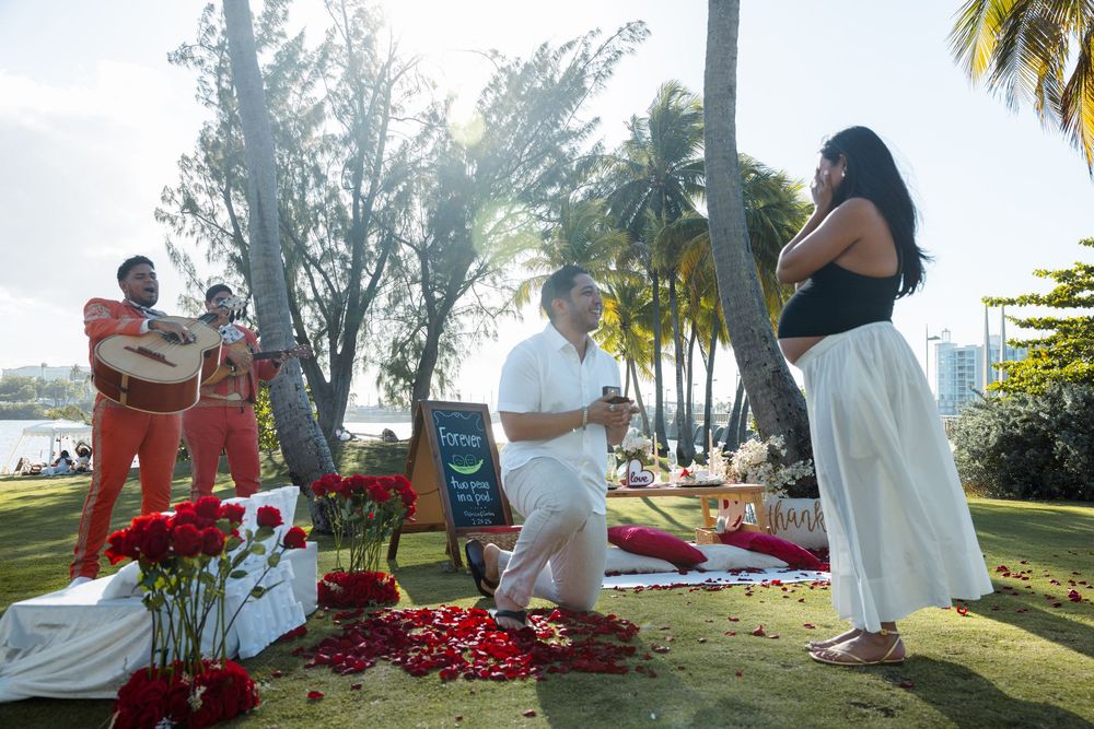 Man proposing on one knee surrounded by roses with mariachi band performing at sunset park.