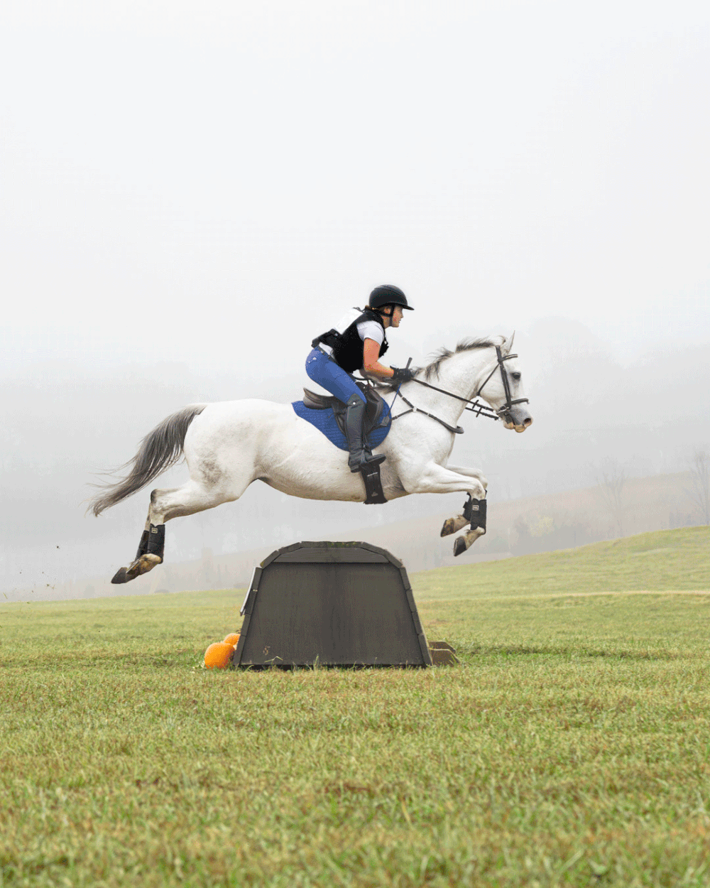 A white horse and rider clearing a jump in sequence showing progression of the leap across a grassy field.
