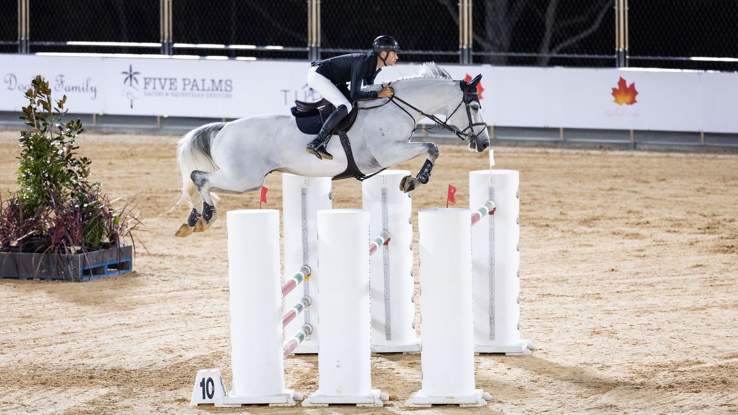 Tom McDermott & Oaks Ventriloquist Jumping @ Willinga Park. © Simon Scully, 2025.