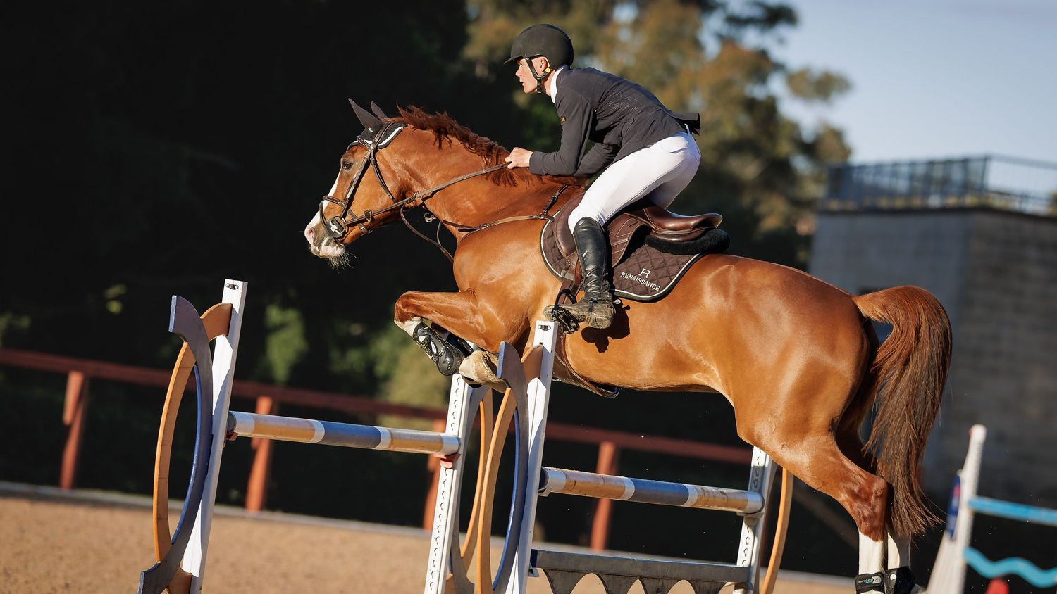 Liam Rutland and Glenara Chartelle M jumping in the Silver Championship at the 2026 Stonewall Grand Prix. © Simon Scully, 2026.