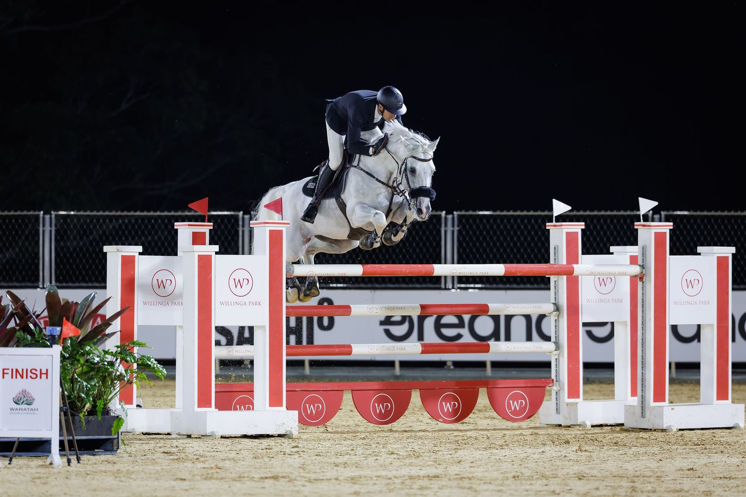 Tom McDermott & Oaks Ventriloquist Jumping @ Willinga Park. © Simon Scully, 2025.