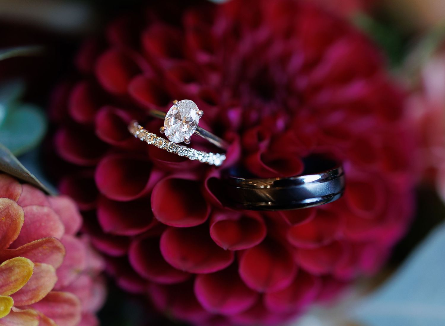 Wedding rings displayed on deep red dahlia flower with delicate petals.