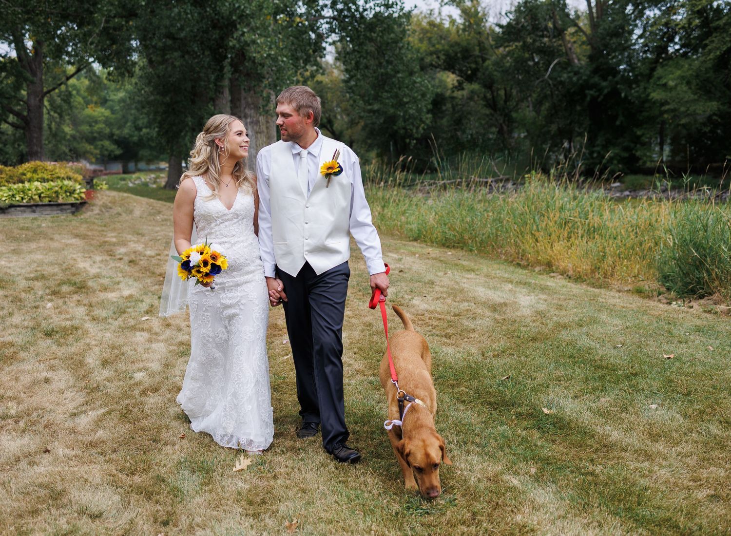 Wedding couple walks with their golden retriever on outdoor path with sunflowers.