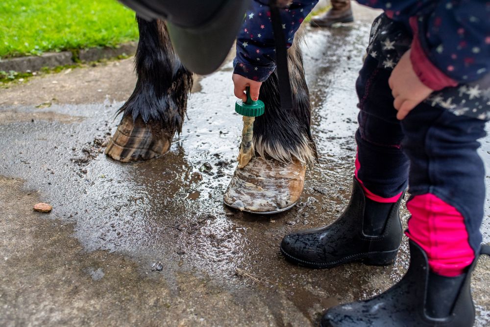 Rubber boots and dog paws stand on wet pavement during a rainy day outdoors.