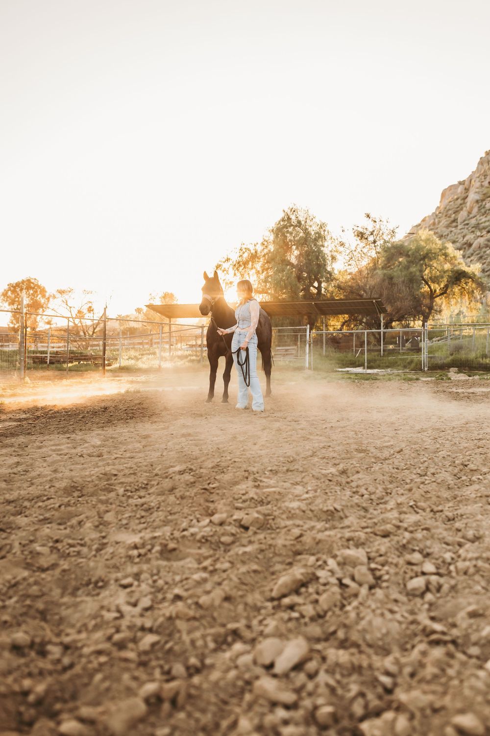 Person leading a dark horse across a dusty ranch paddock at golden sunset with trees and mountains in background.