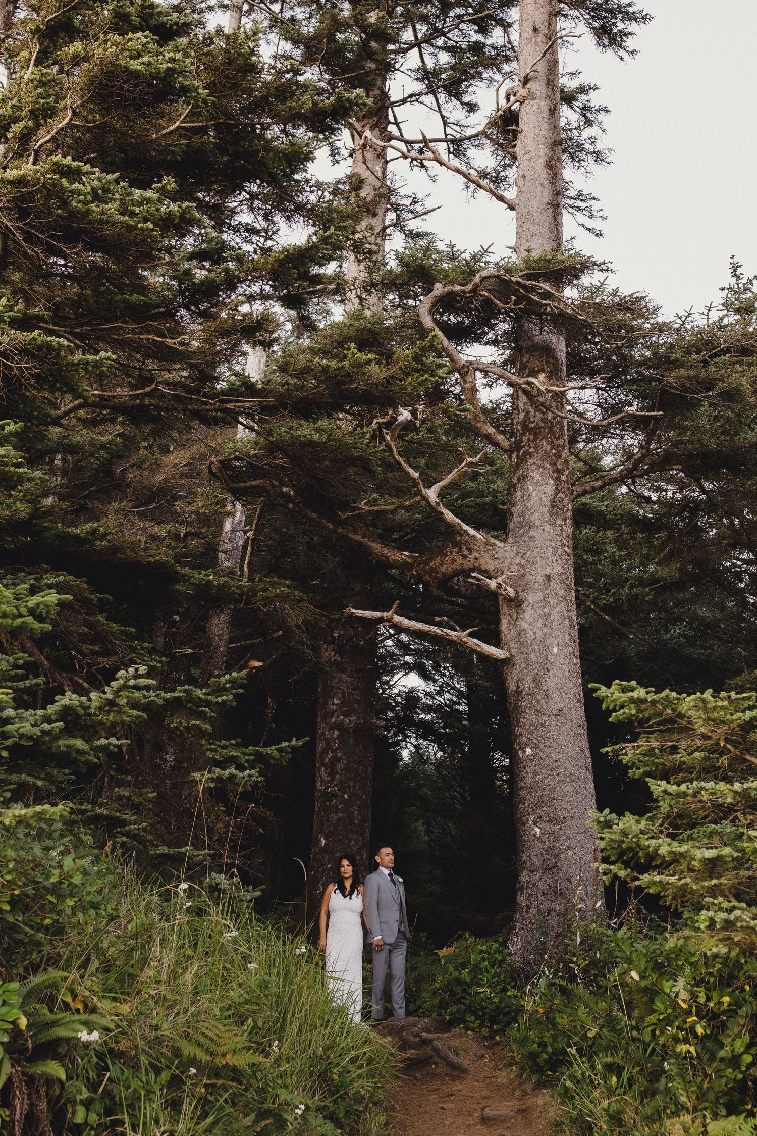 Couple in wedding attire holding hands on a forest trail surrounded by tall evergreen trees and lush ferns.