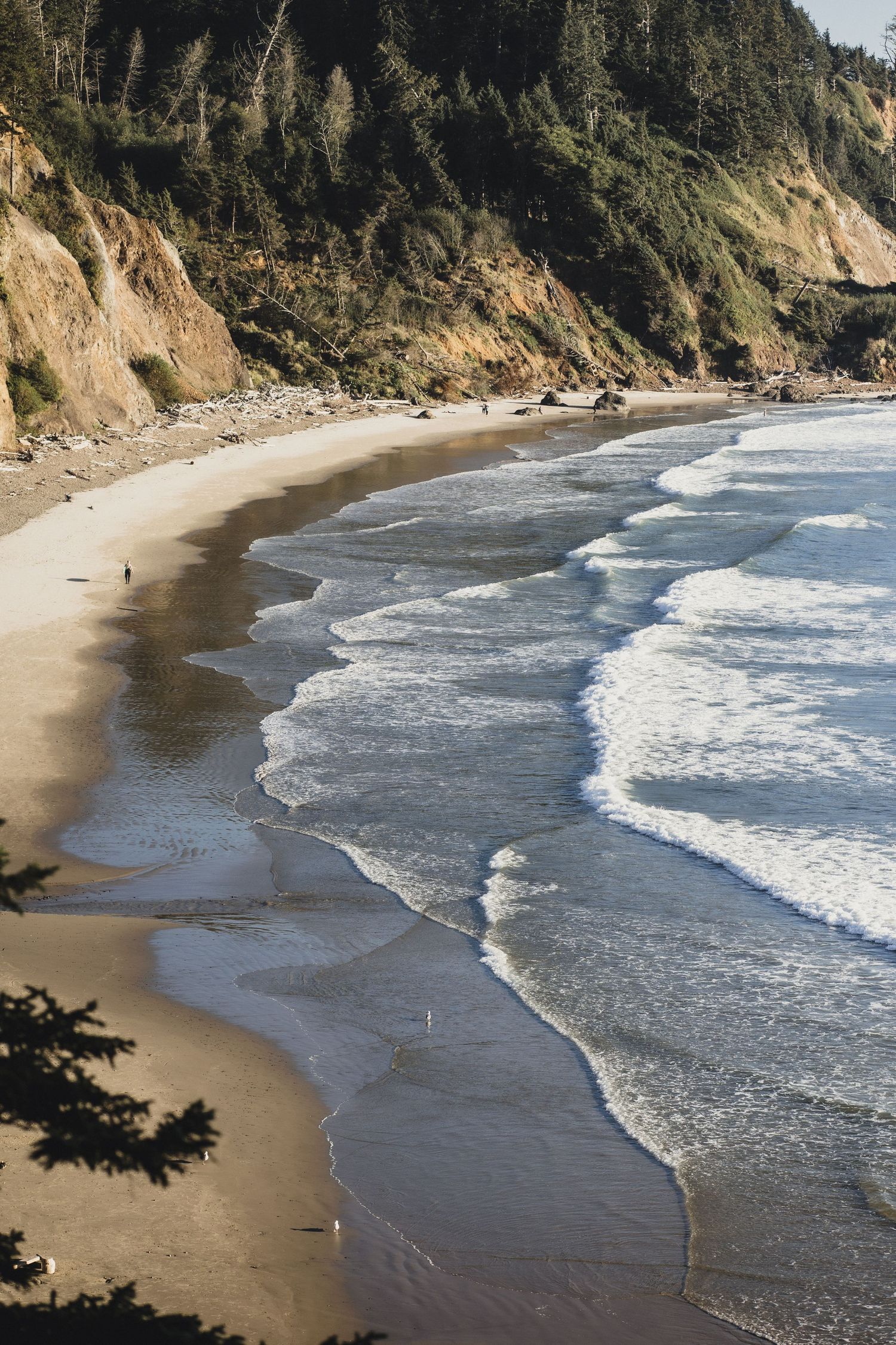 Aerial view of a curved sandy beach with gentle ocean waves and forested cliffs along the Pacific coast.