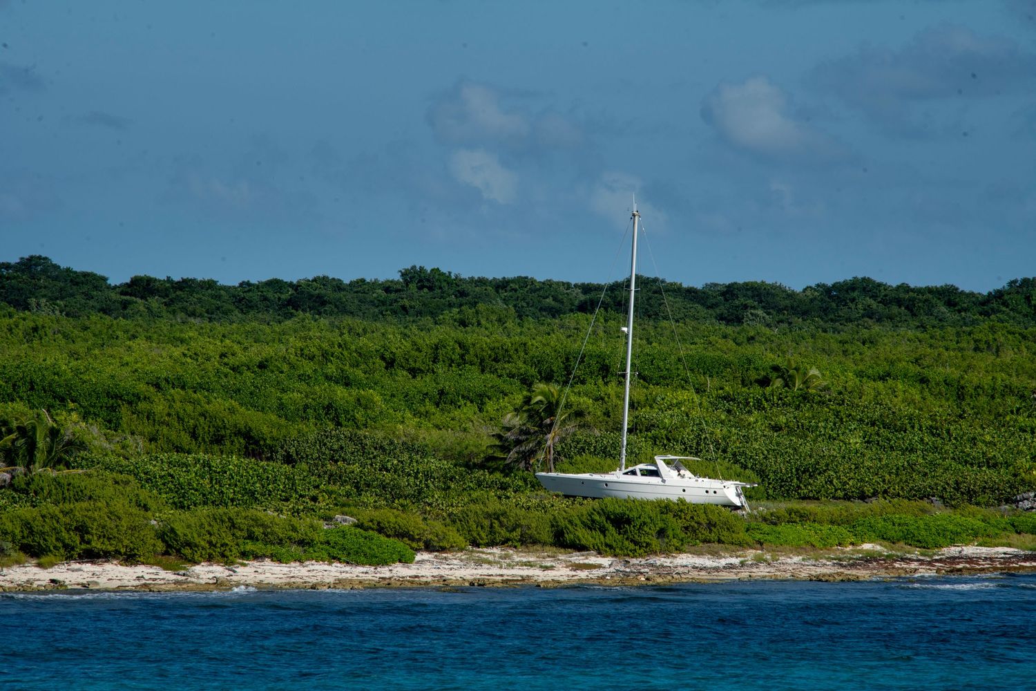 White sailboat anchored near a lush tropical island shoreline with turquoise waters and dense green vegetation.