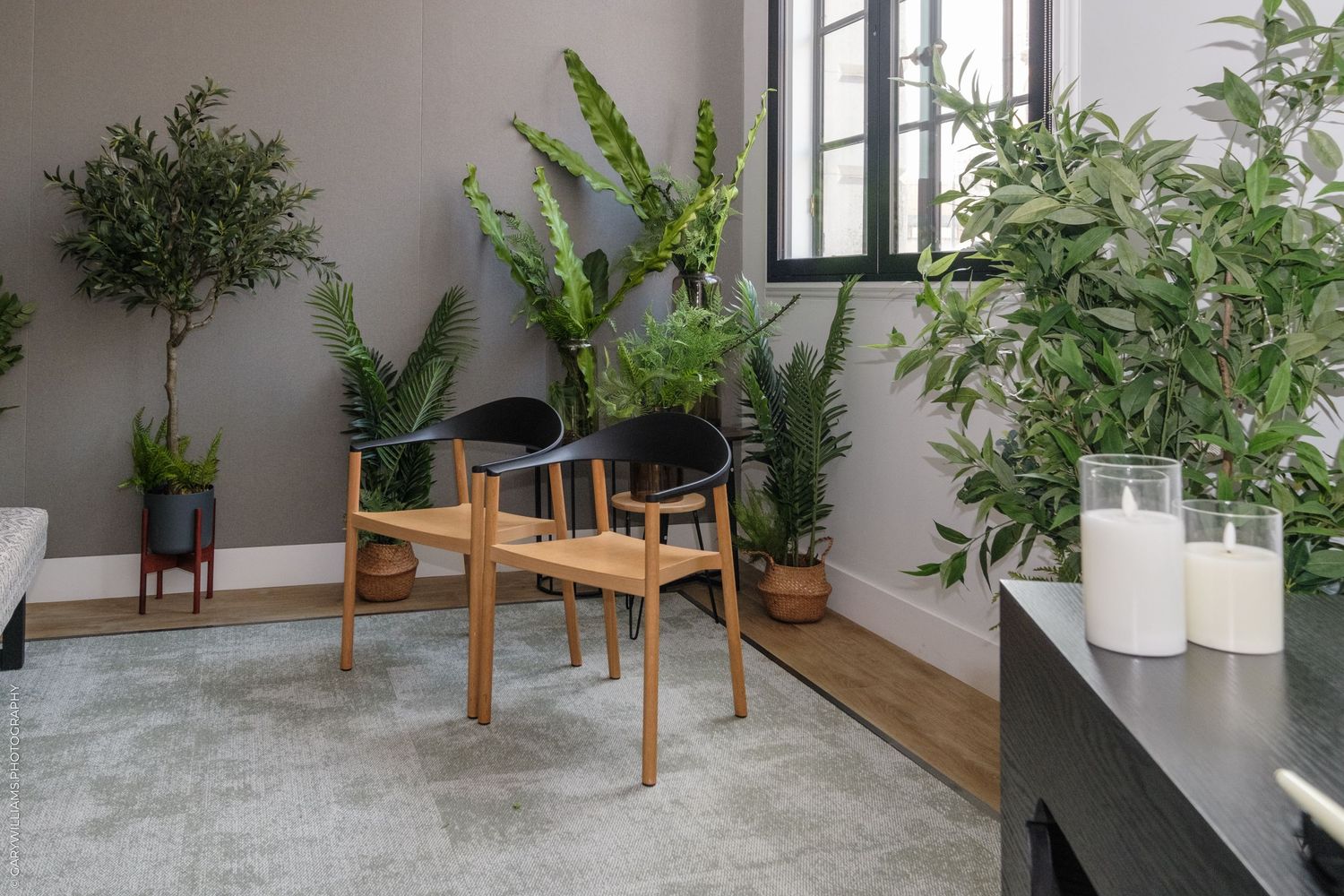 Two wooden chairs with black cushions surrounded by lush green potted plants in a modern gray interior room.