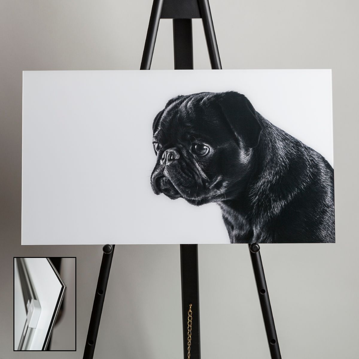 Black pug portrait acrylic print displayed on a wooden easel, captured by fetching fido fotography in austin, texas.