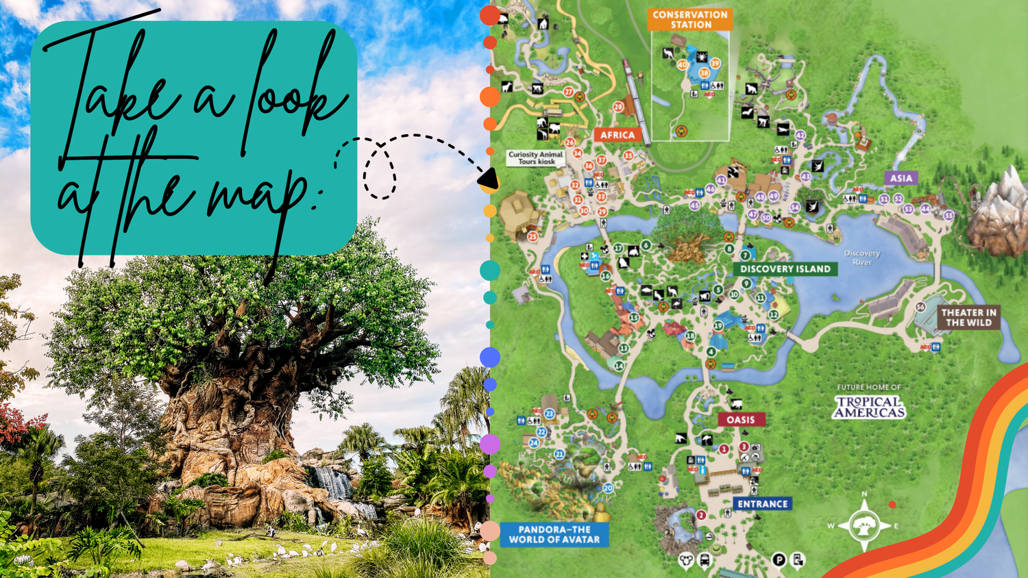 Theme park map with colorful tree overlay and rainbow decorative elements.
